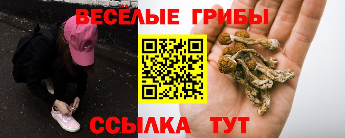 Псилоцибиновые грибы мицелий Заволжье