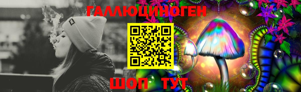 закладка  Псилоцибиновые грибы Psilocybine cubensis  Вход с VPN  Заволжье 